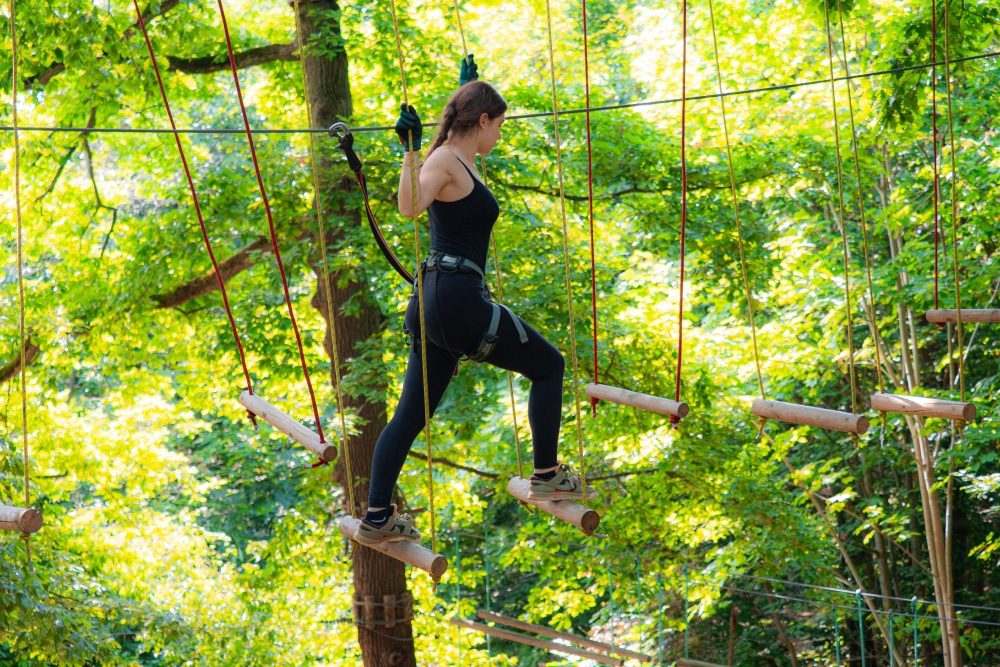 Ecopark Adventures Bièvres | Accrobranche 91