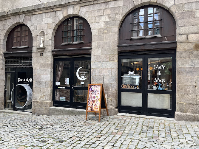 Once Upon A Cat - bar a chats — Limoges