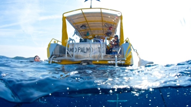 Mio Palmo Cavalaire - exploration sur le Togo, le Rubis et vers Port-Cros — Plongée sous-marine & exploration — Cavalaire-sur-Mer