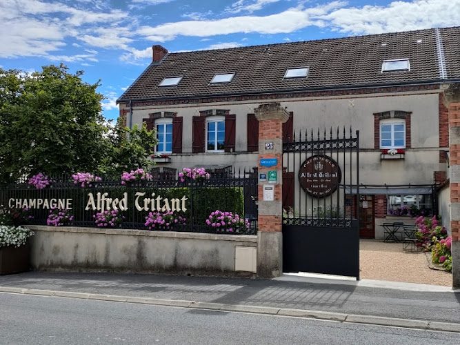 Champagne Alfred Tritant - Découverte des terroirs et vignobles & dégustations - Bouzy