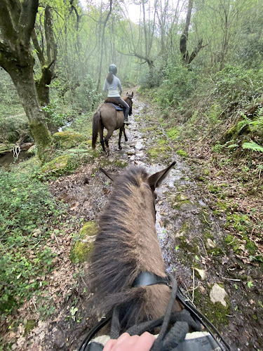 Centre de Tourisme Equestre Larrun Alde — Balade à cheval — Urrugne