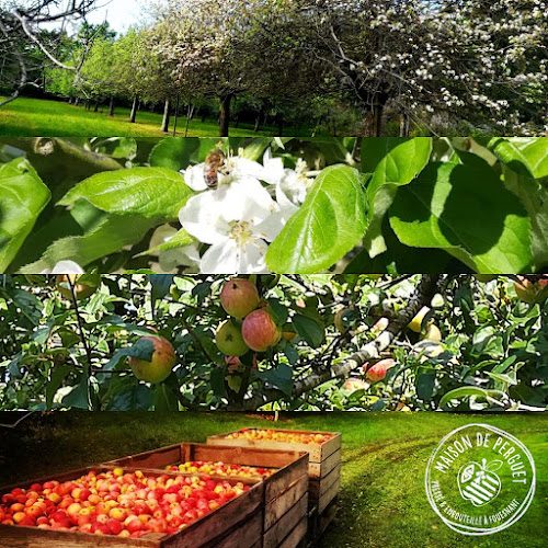 Maison de Perguet - visite de cidrerie et dégustation à Fouesnant — Visite de cidrerie & dégustation de cidre — Fouesnant