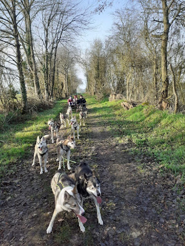Les Crocs Blancs Sarthois — Cani-Rando — Maisoncelles