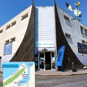 Musée Estran Cité de la Mer — Musées d'histoire naturelle — Dieppe