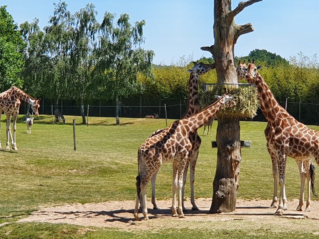Zoo de La Boissière du Doré — Visite d'un Zoo / Parc zoologique — La Boissière-du-Doré