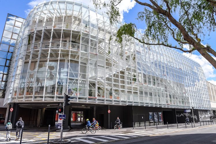 MOBE - Muséum d'Orléans pour la Biodiversité et l'Environnement - Musées d'histoire naturelle - Orléans