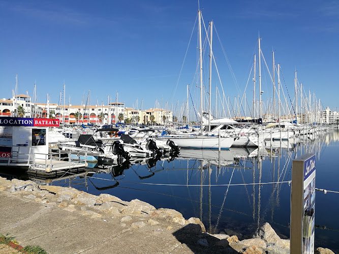 Leucate Evasion Marine - Promenades & Pêche en mer — Observation de dauphins et baleines en mer — Leucate