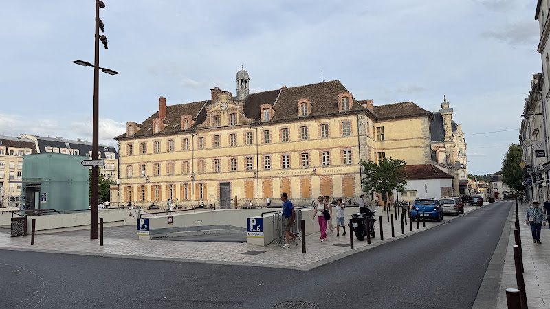 Fontainebleau Tourisme - visites guidées thématiques en forêt de Fontainebleau — Balade en forêt — Fontainebleau