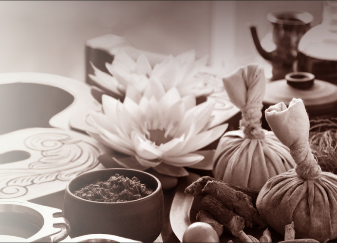 AYURVEDALILLE — Ayurveda & massages ayurvédiques — Marquette-lez-Lille