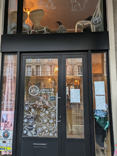 Le Salon des P'Tea Chats