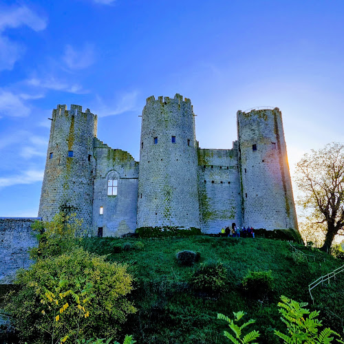 Château de Bourbon-l'Archambault — Visiter un château — Bourbon-l'Archambault