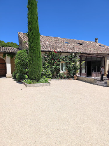Domaine de Cordis — immersion autour de la truffe noire à Grignan — Cueillette & Agritourisme — Grignan