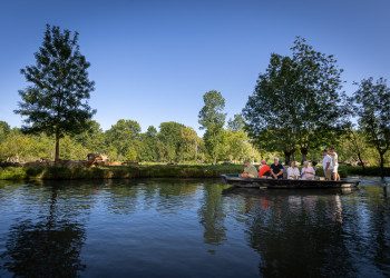 Balade guidée en barque dans le Marais poitevin – Embarcadère Cardinaud — Balade en bateau — Magné
