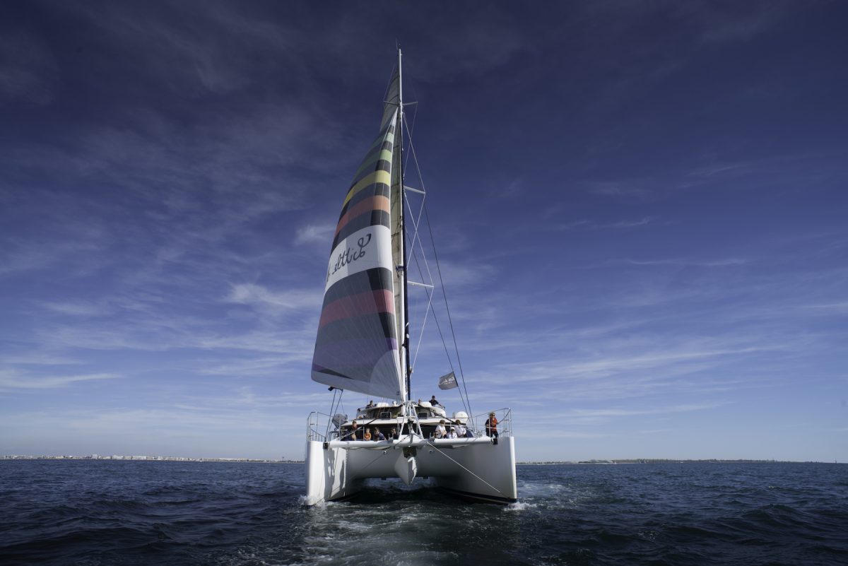 Catamaran Le Providence: Balade pêche en mer & Dauphins — Dîner-croisière & croisière gourmande — Le Grau-du-Roi