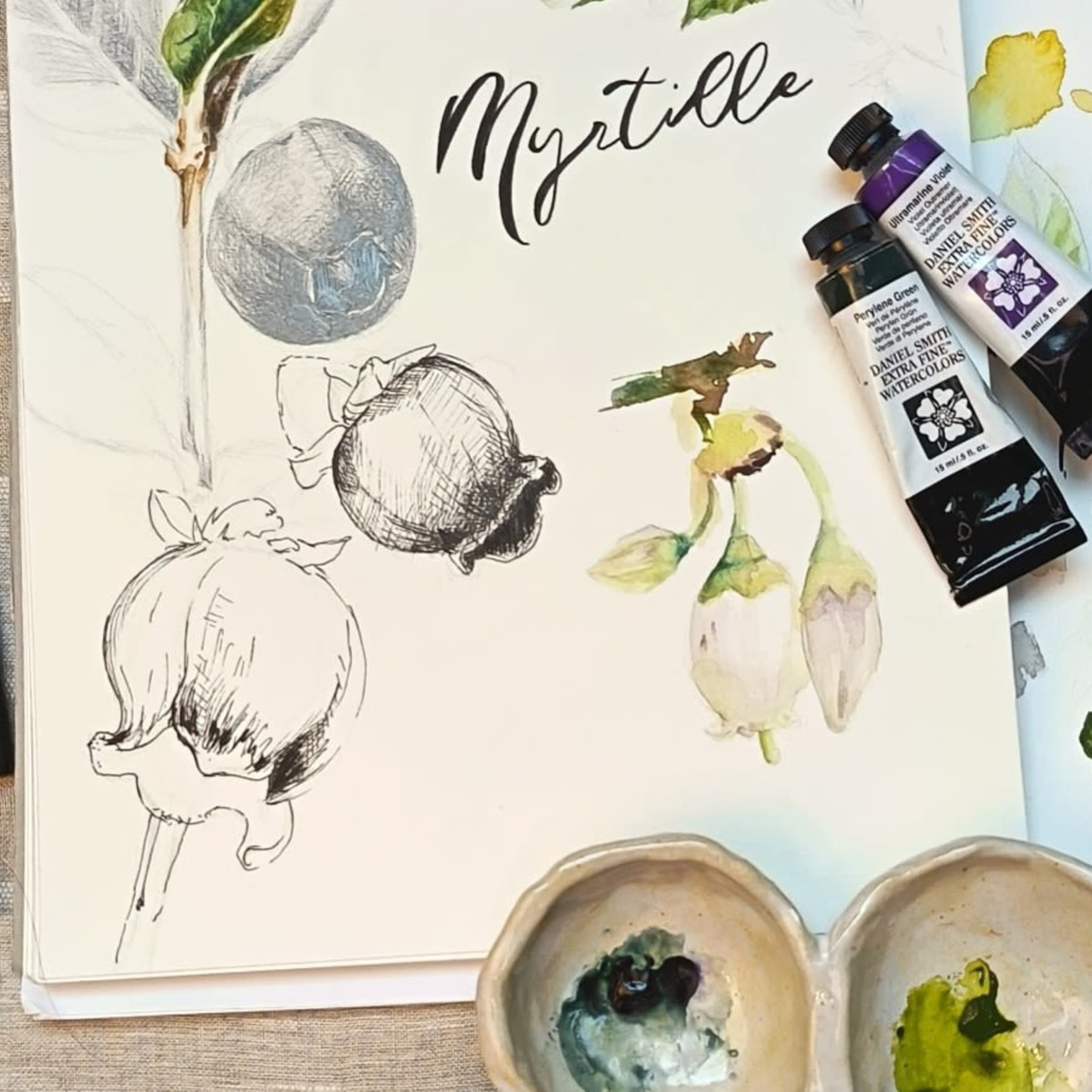 Aquarelle, Dessin & SPA face à la Baie de Paimpol
