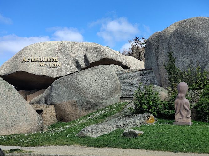 Aquarium Marin de Trégastel — Visiter un Aquarium — Trégastel