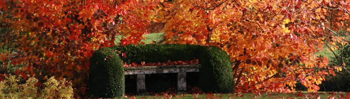 Jardin du Plessis Sasnières — Salons de thé insolites & atypiques — Sasnières