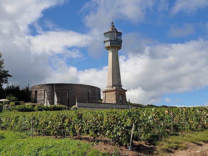 Phare de Verzenay - 101 marches au-dessus des vignes de Champagne - Verzenay
