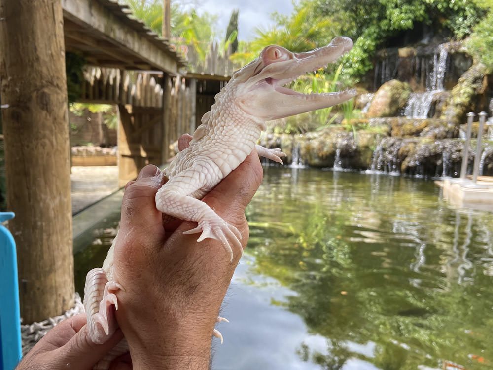 Aquarium Périgord Noir — Visiter un Aquarium — Le Bugue