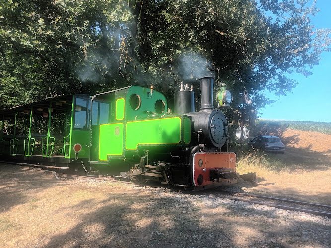 Chemin de Fer Touristique du Tarn - train historique à Saint-Lieux - Trains touristiques & panoramiques - Saint-Lieux-lès-Lavaur