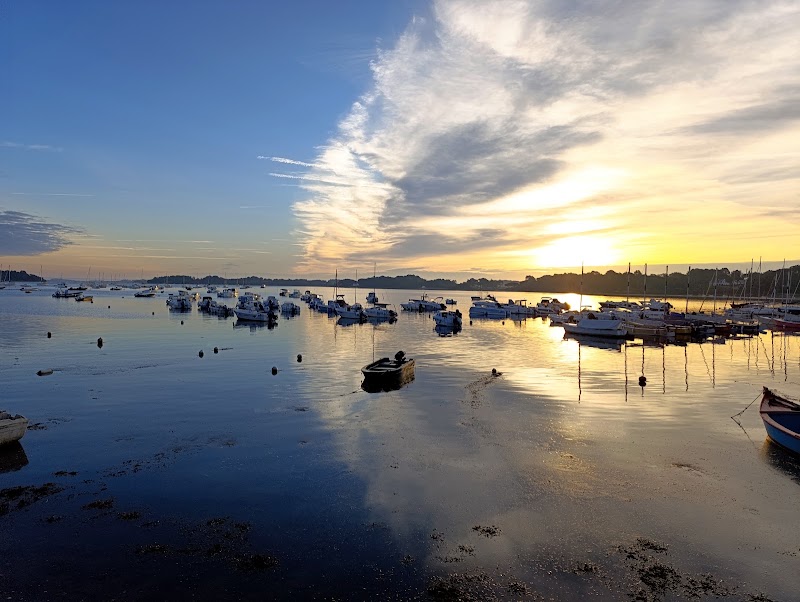 Ty Plonge - randonnée palmée dans le golfe du Morbihan depuis Sarzeau — Randonnée palmée & snorkeling — Sarzeau