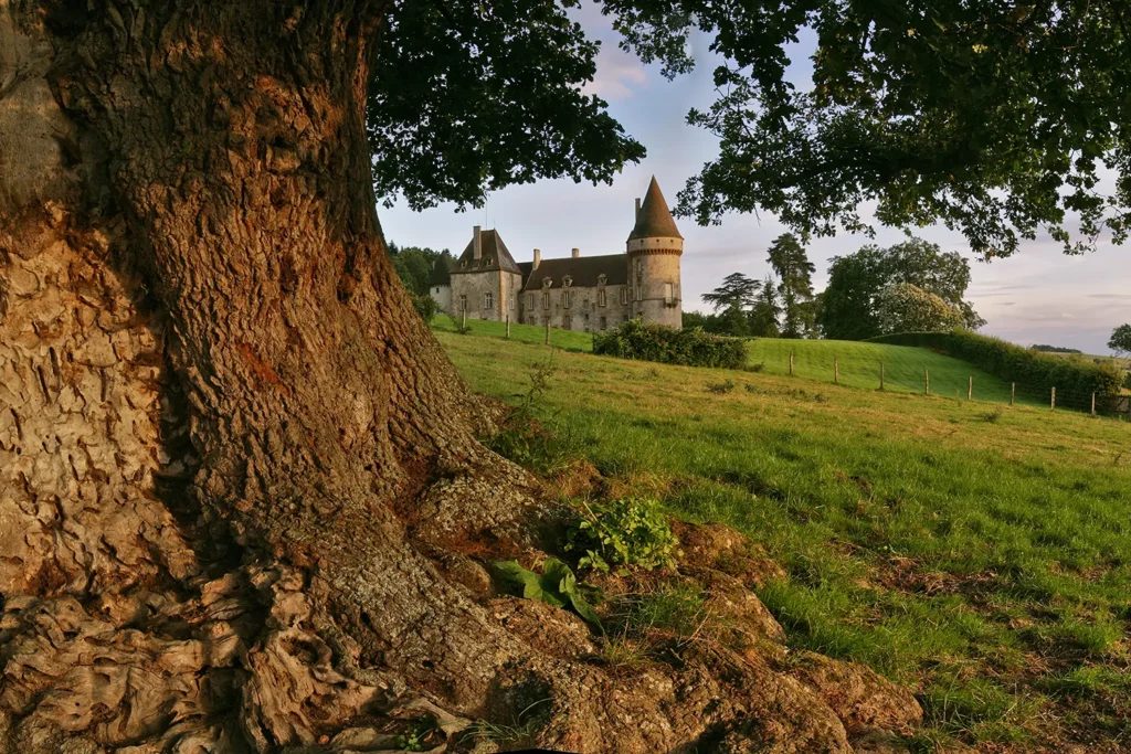 Château de Bazoches — Patrimoine — du Morvan
