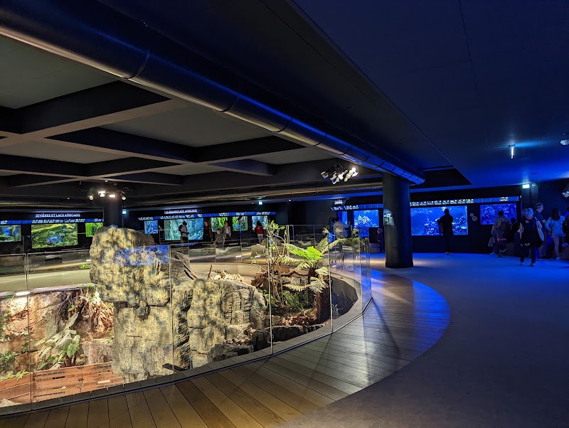 Aquarium tropical