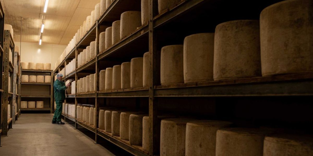 Jeune Montagne — du lait au Laguiole AOP avec dégustation — Visite de fabrique gourmande & spécialités du terroir — Laguiole