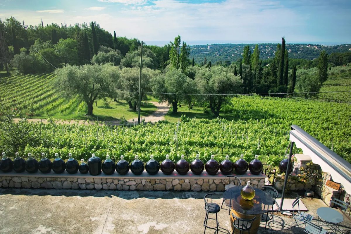 Vignoble Saint Jeannet | Domaine des Hautes Collines — Découverte des terroirs et vignobles & dégustations — Saint-Jeannet