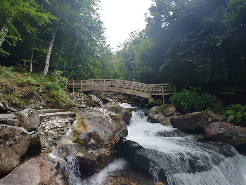 Parc AKROBRANCH d’Orlu — Accrobranche - Parcours Aventure — Orlu