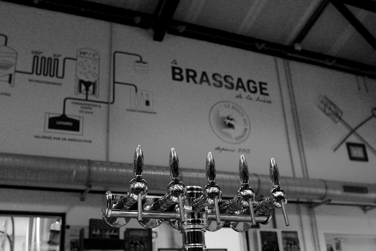Brasserie du Bout du Monde – visite du brassage et dégustation au Faou — Visite de brasserie & dégustation de bière — Le Faou