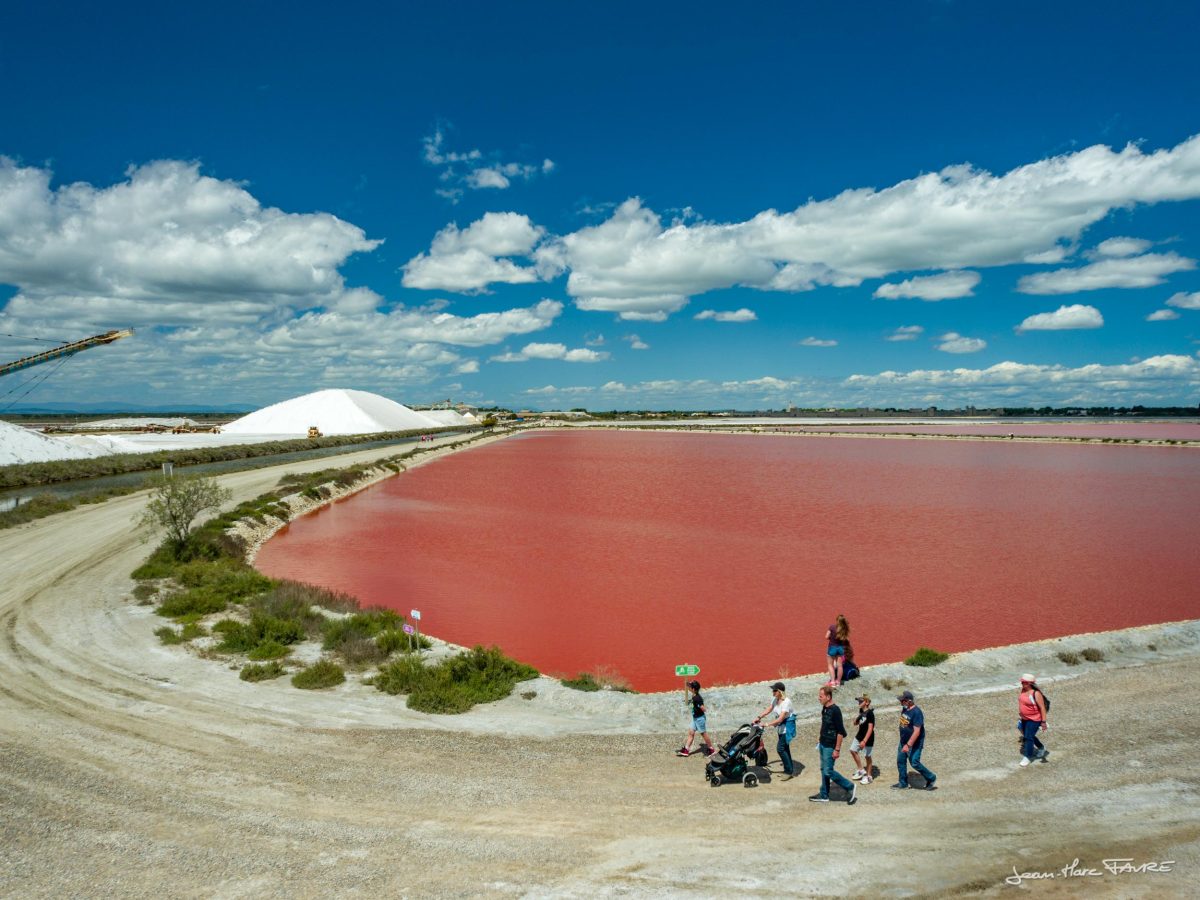 Salin d’Aigues-Mortes — Visite de fabrique gourmande & spécialités du terroir — Aigues-Mortes