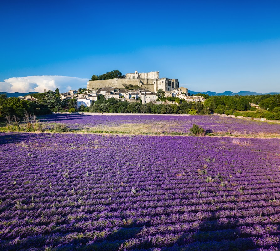 Château de Grignan — Patrimoine — Grignan