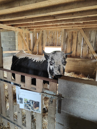 Ferme Kieffer — Ferme éducative — Limersheim