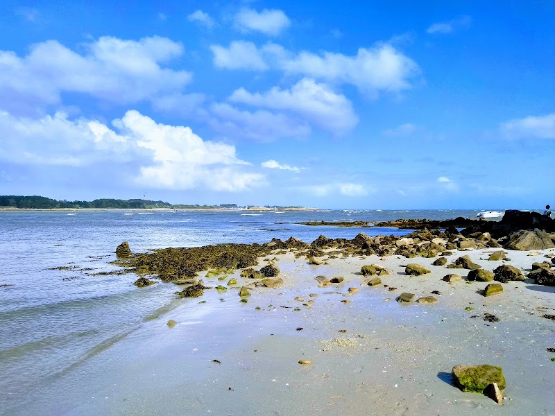 Playa Rent - Plage du Men Du - Canoë - Kayak - La Trinité-sur-Mer