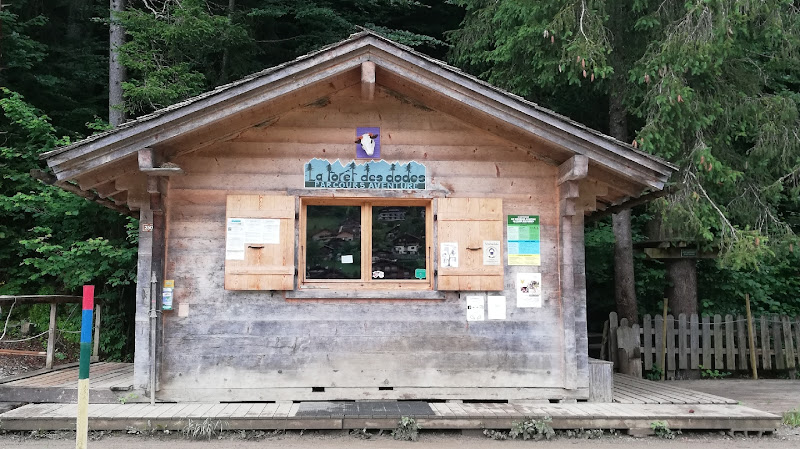 Parcours Aventure La forêt des dodes