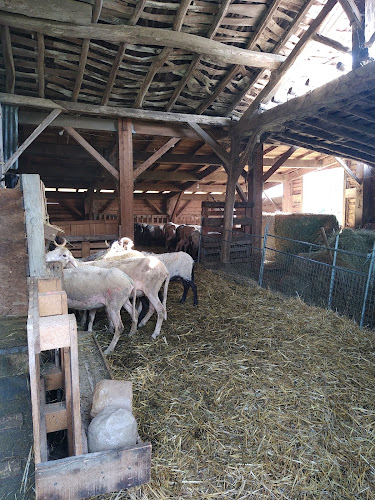 La Ferme des Cycles