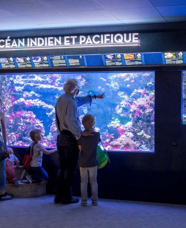 Aquarium tropical — Visiter un Aquarium — Paris