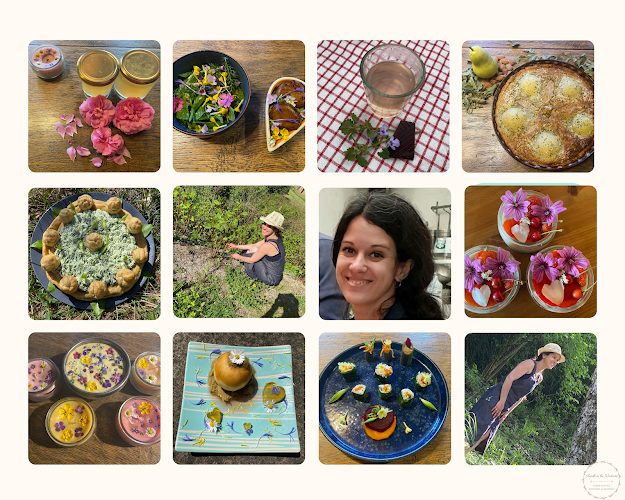 Aude à la Nature — Cueillette sauvage & balades botaniques — Grandfontaine