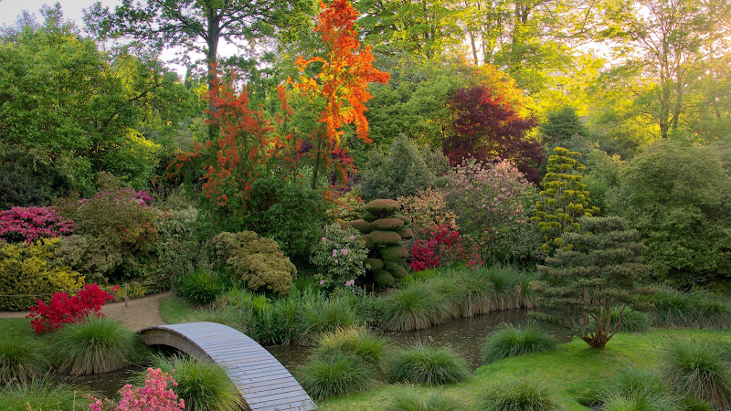 Salon de thé du Parc Botanique de Haute Bretagne — Le Châtellier