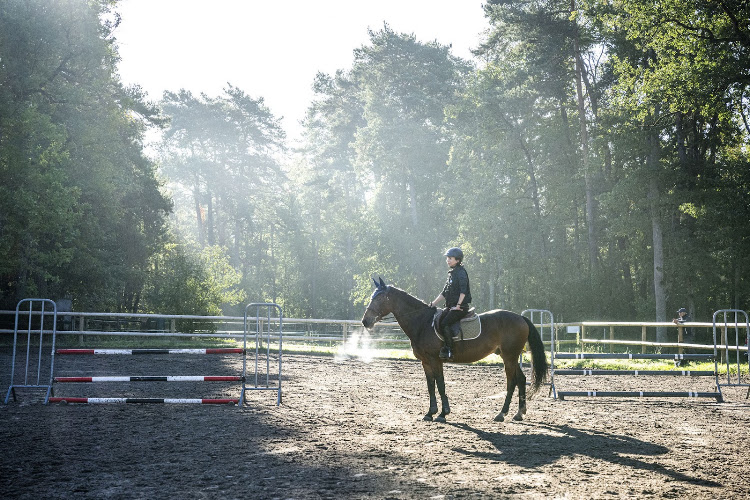 Centre Équestre Arbonne Équitation — Balade à cheval — Arbonne-la-Forêt