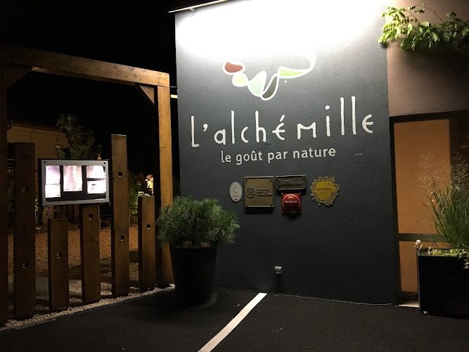 Alchémille - cueillette sauvage et dégustation gastronomique à Kaysersberg — Cueillette sauvage & balades botaniques — Kaysersberg Vignoble