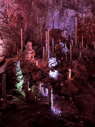 Aven Armand - 400 stalagmites et une descente à 110 m sur le Causse Méjean — Visite de grottes & gouffres — Hures-la-Parade
