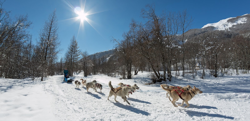 Chiens de traîneau Hautes-Alpes Mushing Addict — Cani-Rando — Les Vigneaux