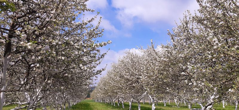 Le Val de la Chèvre — La Bouëxière
