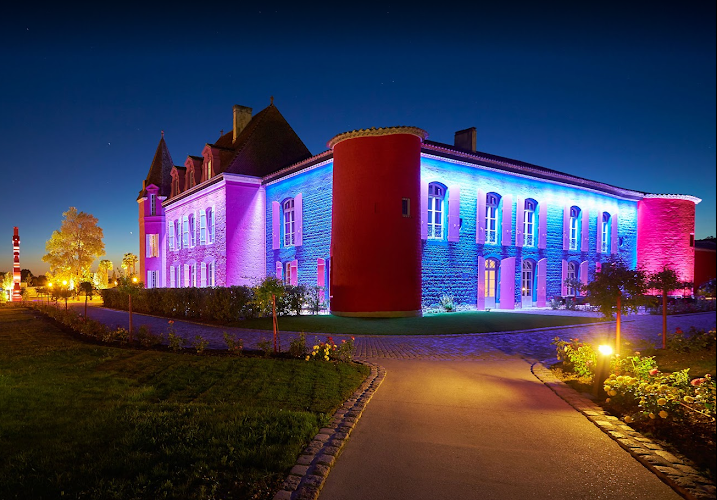 Restaurant du Stelsia – dîner dans un château ultra-coloré — Restaurants immersifs & à thème — Saint-Sylvestre-sur-Lot