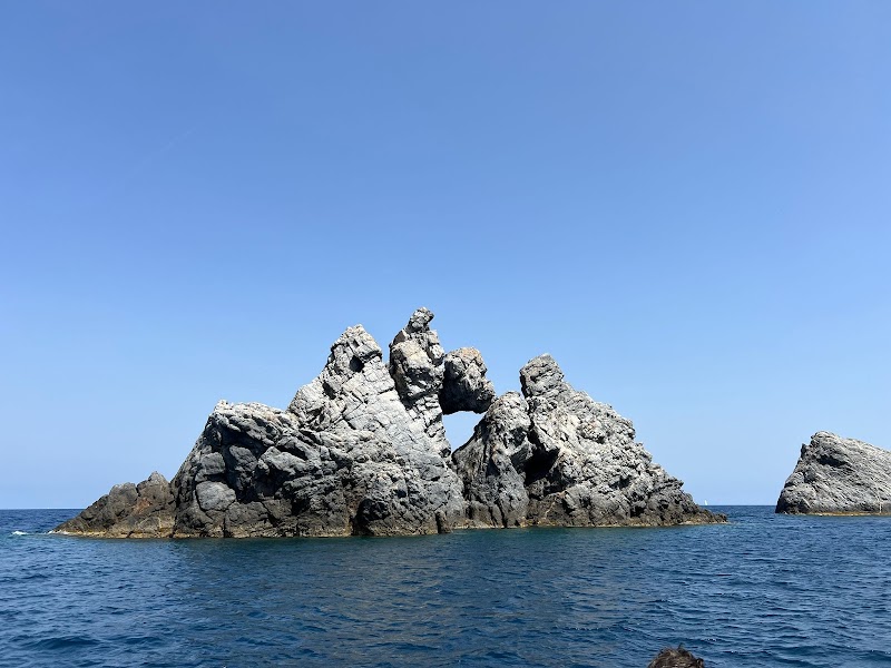 PlongeeO - randonnée palmée à Porquerolles et Giens, matériel inclus — Randonnée palmée & snorkeling — Hyères