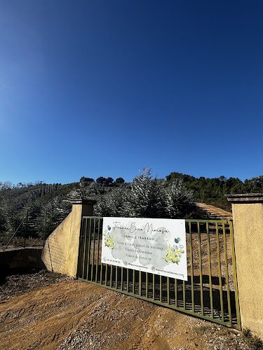 FranceEucaMimosa - Cueillette & Agritourisme - Tanneron