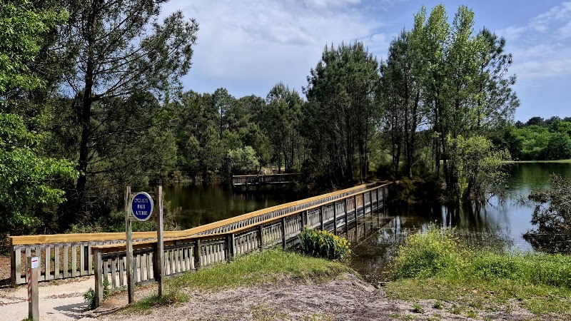Bois des Sources du Peugue