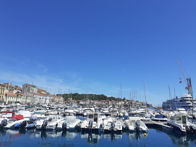Sur les pas de Charles Rennie Mackintosh à Port-Vendres - visite guidée de 1 h 30 — Port-Vendres